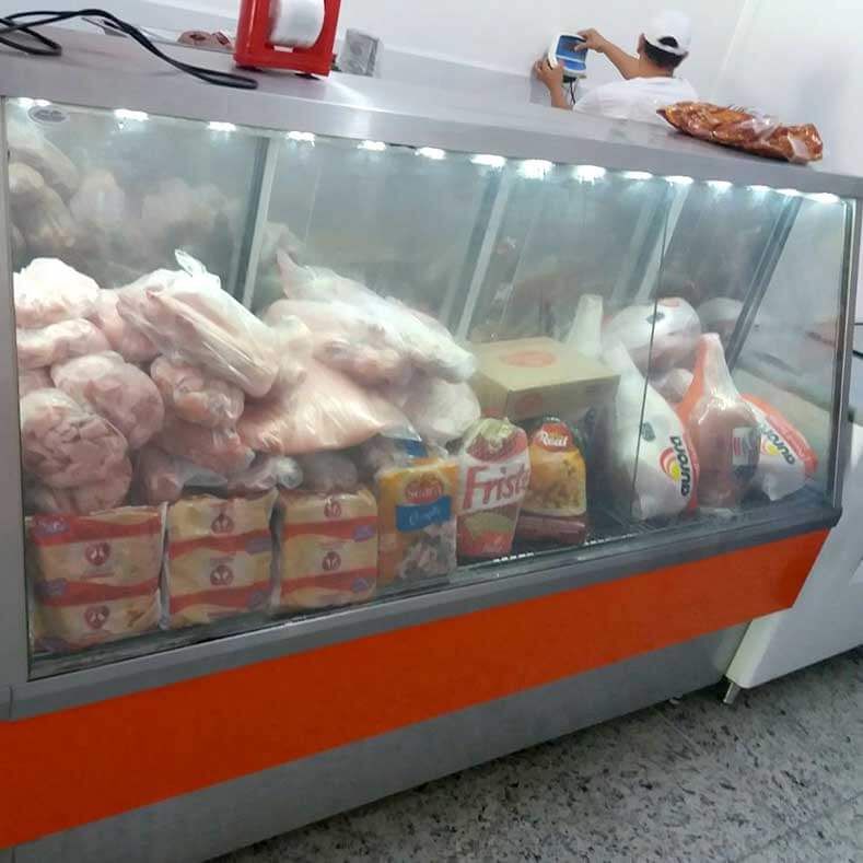 FreeArt - Expositor de carnes congeladas frost free, com vidro frontal insulado e com resistĆŖncia.