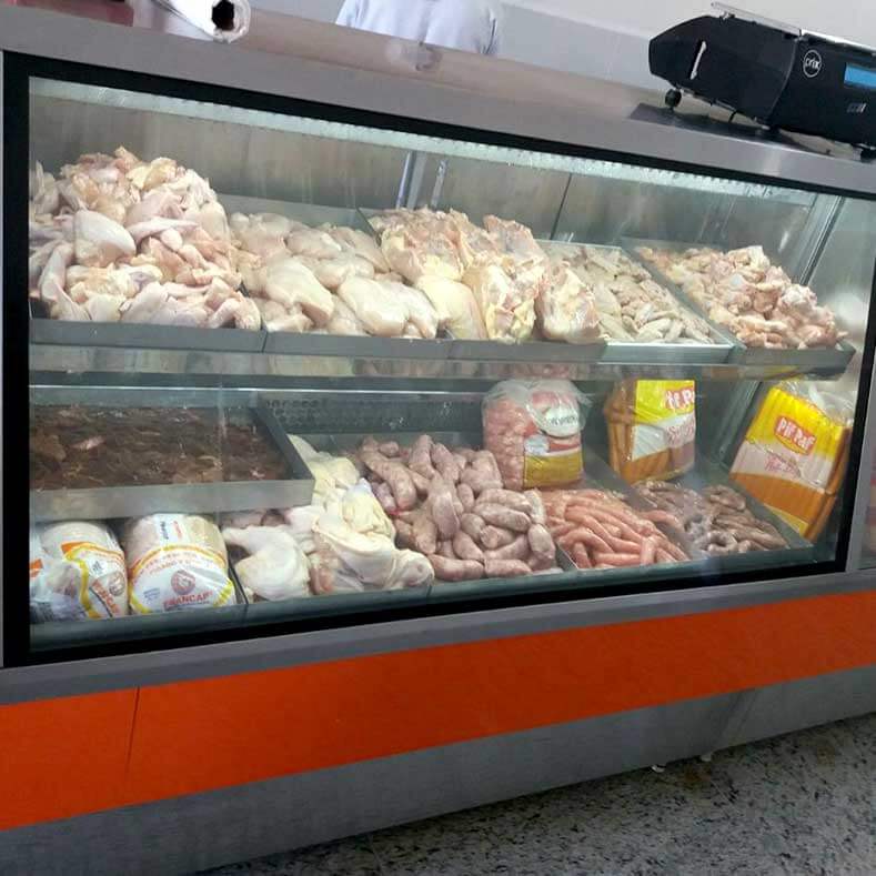 FreeArt - Expositor de carnes congeladas frost free, com vidro frontal insulado e com resistĆŖncia.
